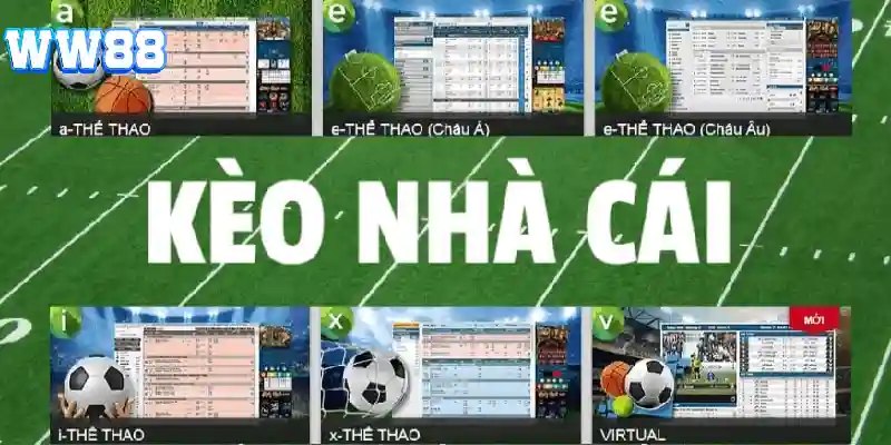 Bí kíp đọc vị kèo nhà cái chuẩn xác